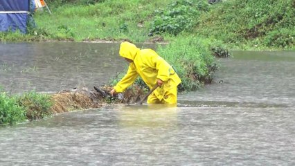 이번엔 강원도...게릴라성 호우에 곳곳 물바다 / YTN
