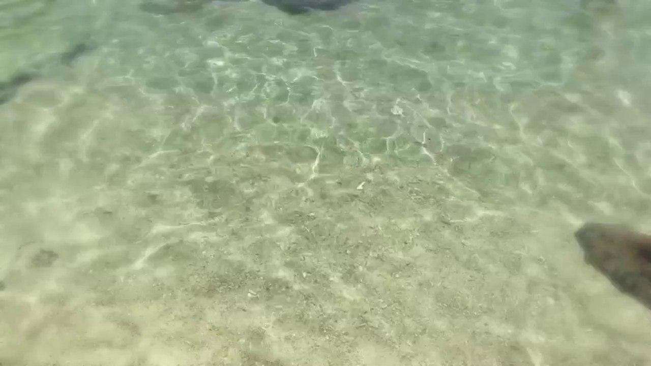 SRI LANKA 2018
