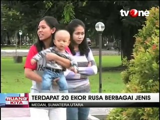 Mengunjungi Taman Rusa di Kampus USU