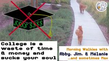 College is a waste of time & money and sucks your soul - Walkies with Abby