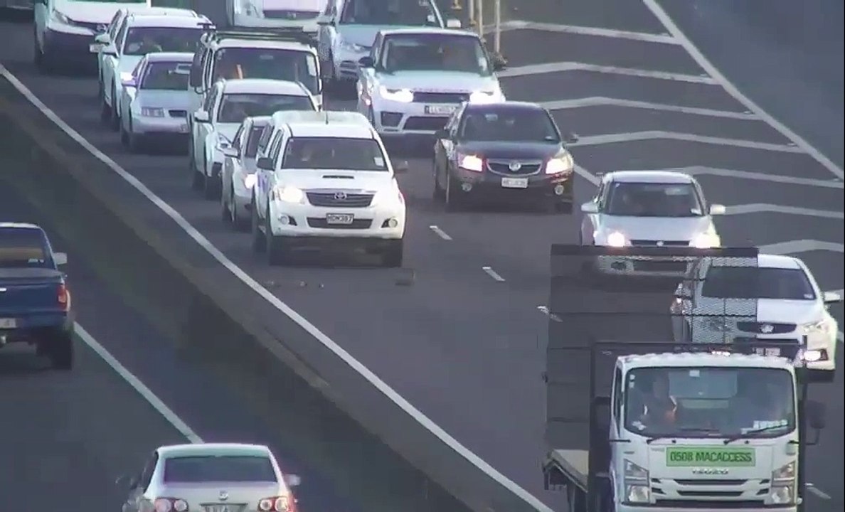 Les conducteurs cèdent le passage à une famille de canard sur l’autoroute