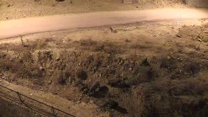 Aç Kalan Domuzlar Şehre İndi