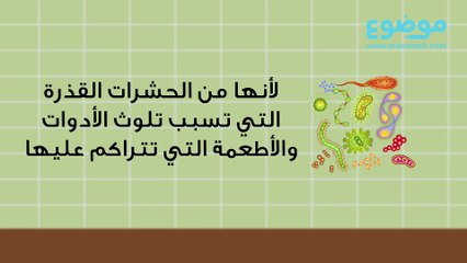 طرق الوقاية من الصراصير