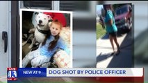 Man Says Officer's Decision to Shoot His Dog Was 'Totally Uncalled For'