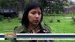 Perú: hijos de Fujimori son investigados por lavado de activos