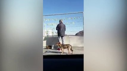 Un hombre se encara con un independentista que le llama la atención por arrancar lazos amarillos de un valla