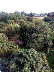 Natural Beauty in India