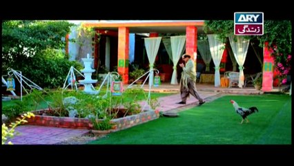 Aangan Episode 34 - on ARY Zindagi in High Quality 29th August  2018