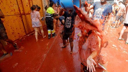 La Tomatina o qué hacer con 145.000 kilos de tomates