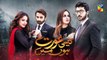 Kaisi Aurat Hoon Main Epi 18 Promo HUM TV Drama