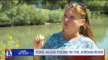 Toxic Algae Warning Issued for Utah River