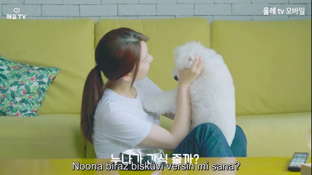 Tofu Personified 3. Bölüm