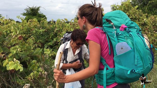 Étape 26 : Pons – Mirambeau / Saint-Jacques-de-Compostelle par la Voie de Tours – 29 août 2017.