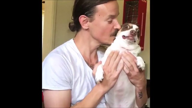 Ce chien déteste etre filmé