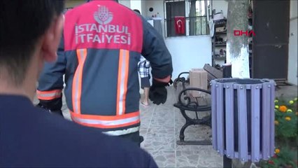 İstanbul Sağlık Ocağında Yılan Alarmı