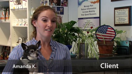 Welcome to Sleepy Hollow Animal Hospital