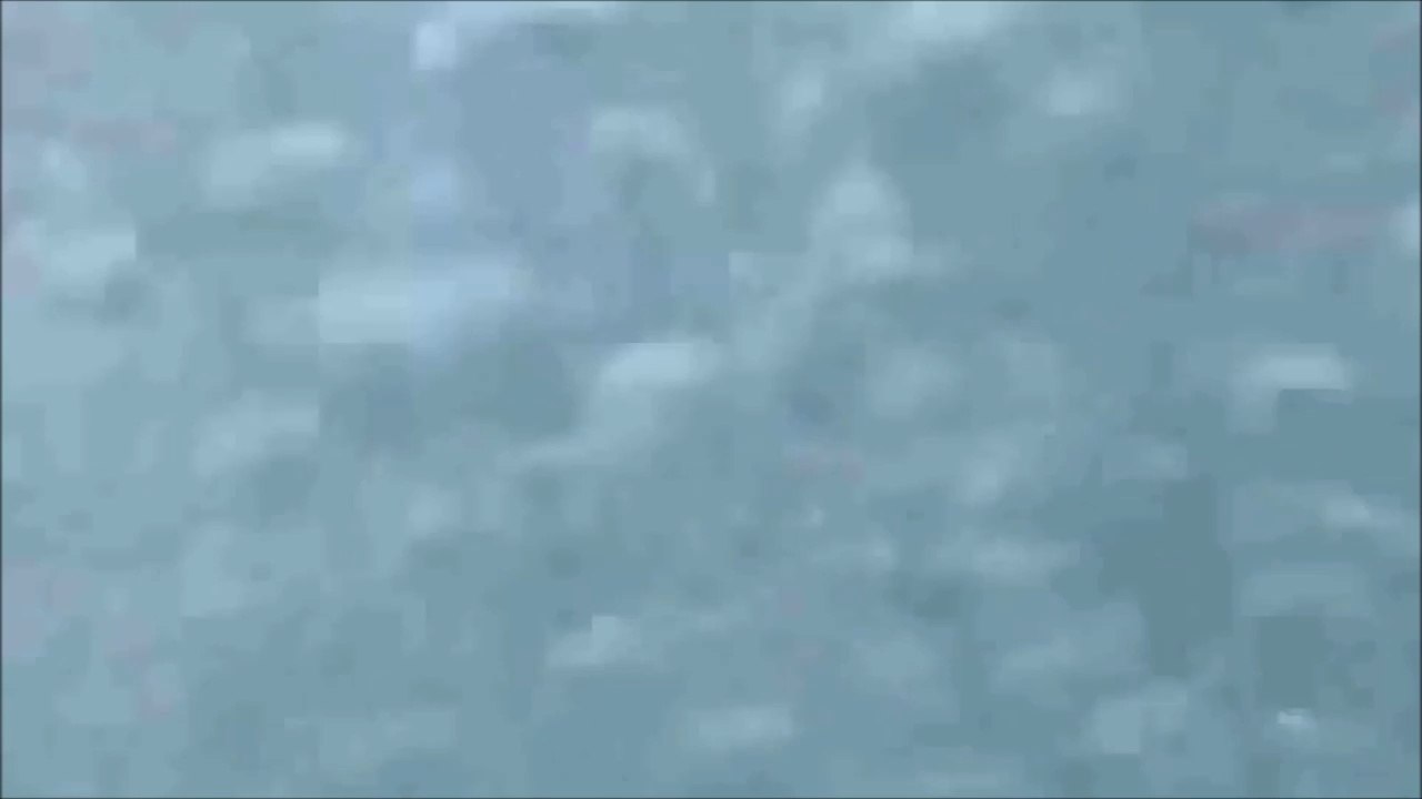 Il plonge à la mer et tombe nez à nez avec un grand requin blanc