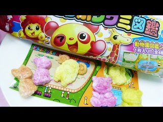 [포핀쿠킨/가루쿡] 동물구미도감  | CarrieAndToys