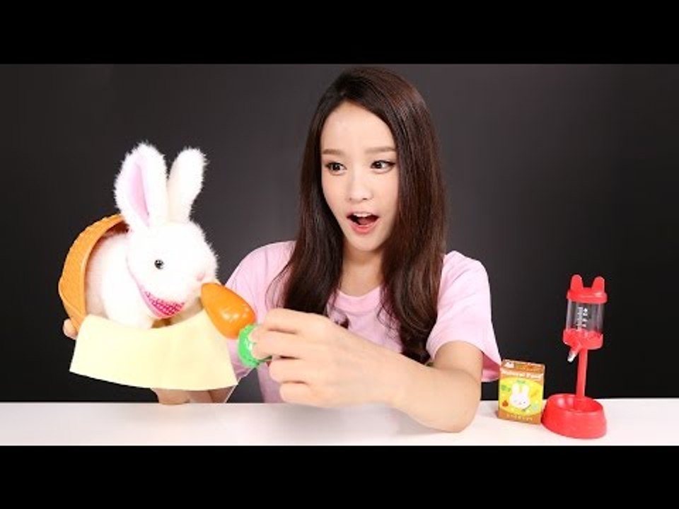 캐리의 깡총깡총 뛰는 아기토끼 키우기 애완동물 장난감 기르기 CarrieAndToys