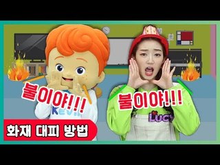 [화재 안전 교육] 불이 났어요! ㅣ 캐리앤 북스