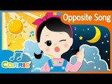 [키즈 동요] 반대말 송 영어버전 Opposite Song | 캐리앤 송