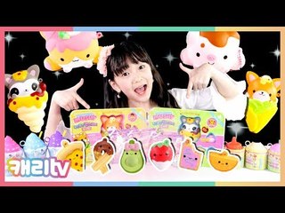 [장난감친구들] 달콤한 향기가 나는 폭신폭신 펫스퀴시 도시락! 랜덤 뽑기 놀이