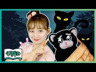 [생활동화] 명탐정 루시, 사라진 나비의 가족을 찾아라! | CarrieTV_Books
