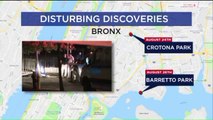 Two in Custody After Woman`s Dismembered Body Was Found in Bags Near Bronx Park