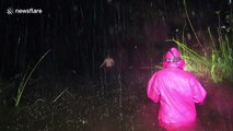 Hawaii locals walk home in waist-deep floodwaters and pouring rain as Hurricane Lane closes in