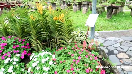 [VIDEO ĐẦU TIÊN] Tham quan Thảo Cầm Viên - sở thú Sài Gòn - SaiGon Zoo