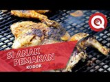 Dua Anak Pemakan Kodok