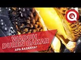 Kenikmatan Khas Duren Bakar