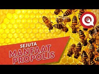 Sejuta Manfaat Propolis