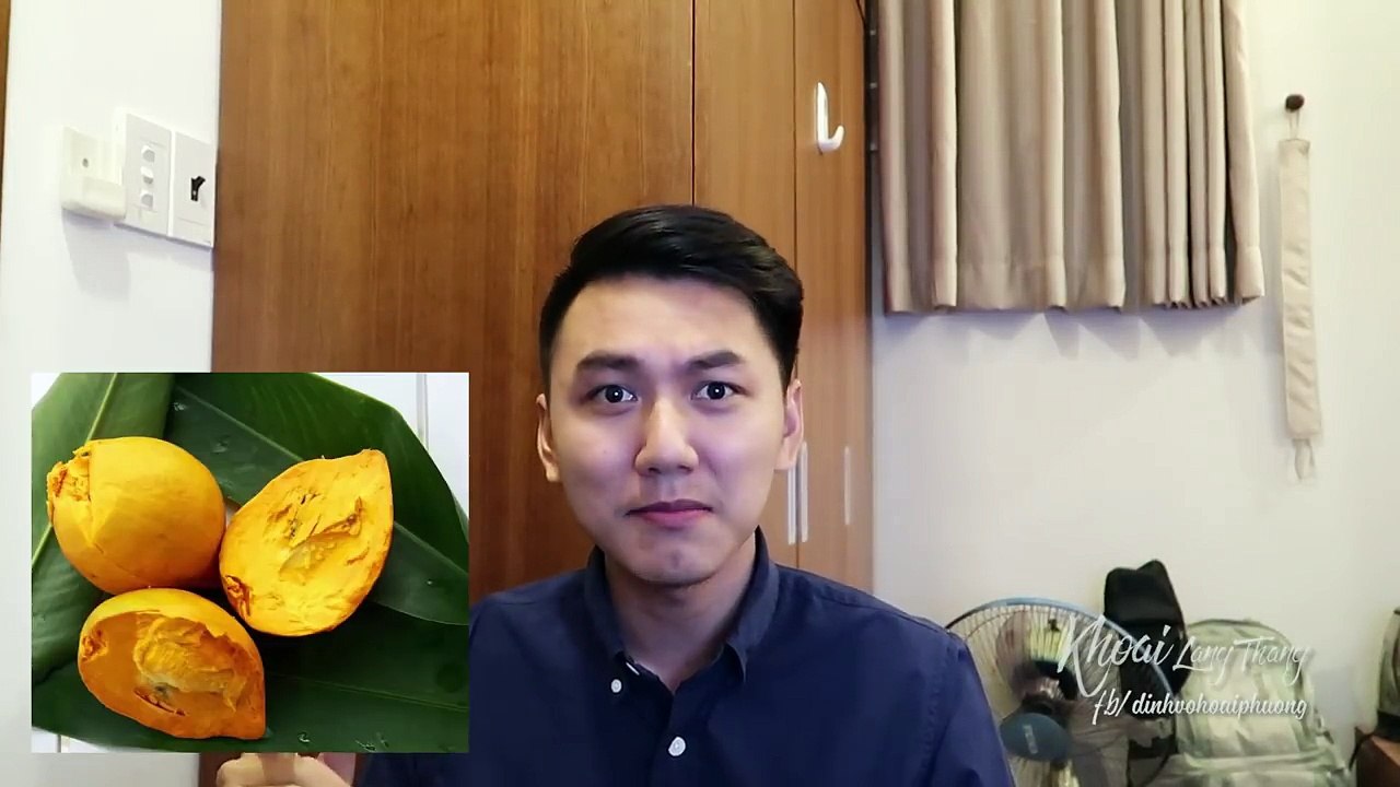 KHOAI LANG THANG là ai? Đôi điều về mình | Q&A | Facts about me vlog