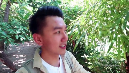 Khám phá Sơn Trà, Ăn hải sản đồng giá 60 ngàn | du lịch Đà Nẵng #2