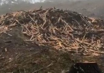 Heavy Rains Spark Flooding in Ruatoria