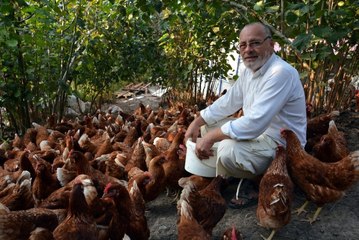 7 Yıl Önce 60 Tavukla Başladı, Şimdi Parmakla Gösteriliyor