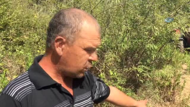 Köylülerin Kabusu Olan Yaban Domuzu 45 Gün Sonra Etkisiz Hale Getirildi