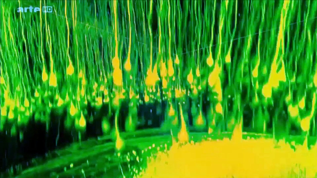 Les pouvoirs du cerveau