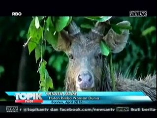 Berwisata ke Taman Nasional Ujung Kulon