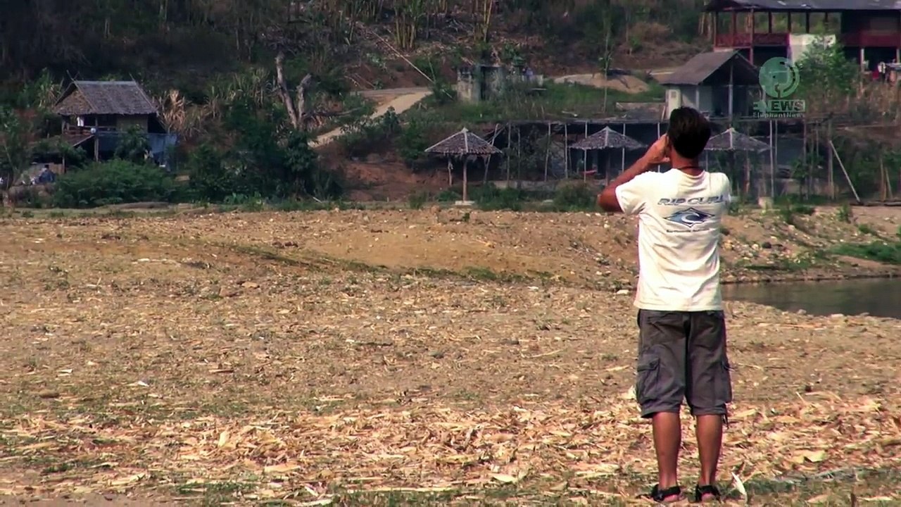 Un homme appelle un éléphant