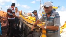 Giresunlu Balıkçılar, 1 Eylül'e Hazır