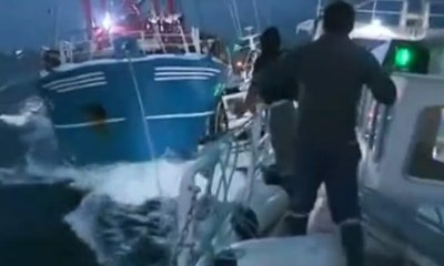 Balıkçılar birbirine girdİ! Deniz tarağı savaşları