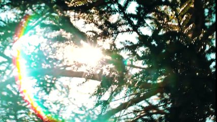 Gel Sevduğum (Elif Buse Doğan) Official Music Video #gelsevduğum #elifbusedoğan