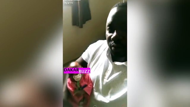 Gris Bordeaux avec son bébé, un vrai papa poule