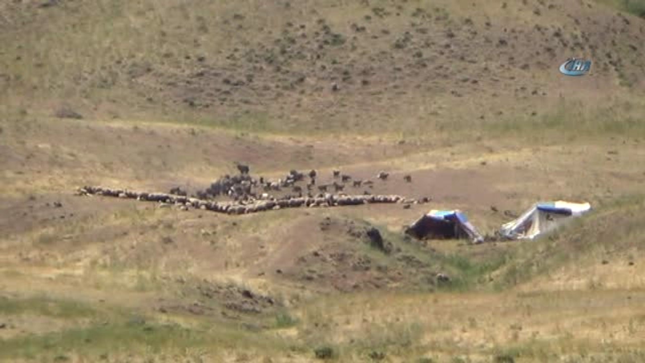 Beytüşşebap'ta PKK'ya Yönelik Büyük Operasyon...şehit Yarbay Songül Yakut Operasyonu Tüm Hızıyla...