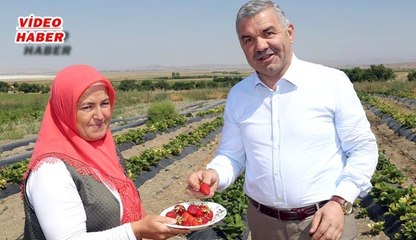 (30 Ağustos 2018) ORGANİK TARIMDA BÜYÜKŞEHİR FARKI