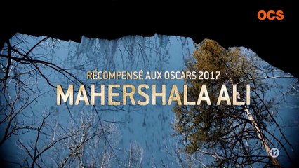 Bande annonce de True Detective saison 3