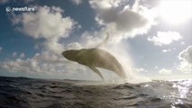 Inspirational adventurer with muscular dystrophy films moment whale breaches right in front of him