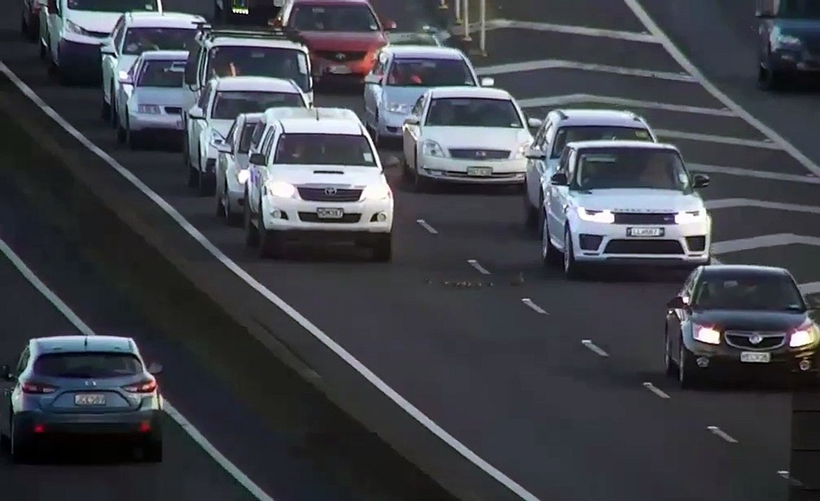 Ces automobilistes laissent passer une famille de canard sur l’autoroute